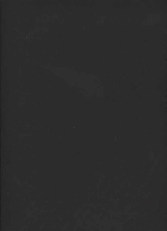 Sauleda Solar Pro Masacril Markisenstoff Carbon