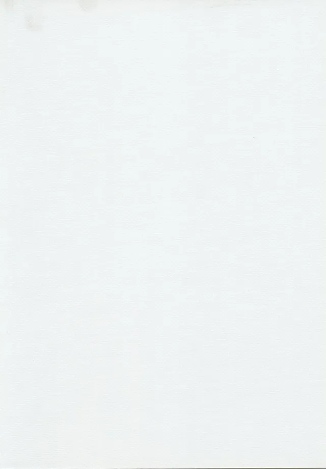 Sauleda Office Soltis Opaque B-702-455 Markisenstoff