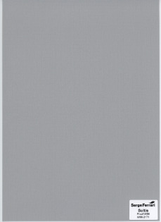 Sauleda Solar Pro Tech Soltis Proof W88-2171 Markisenstoff Gris Claro