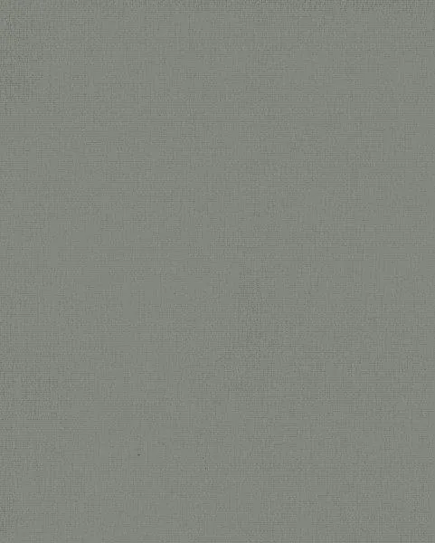 Sauleda Office Soltis Opaque B99-50354 Markisenstoff Hellgrau
