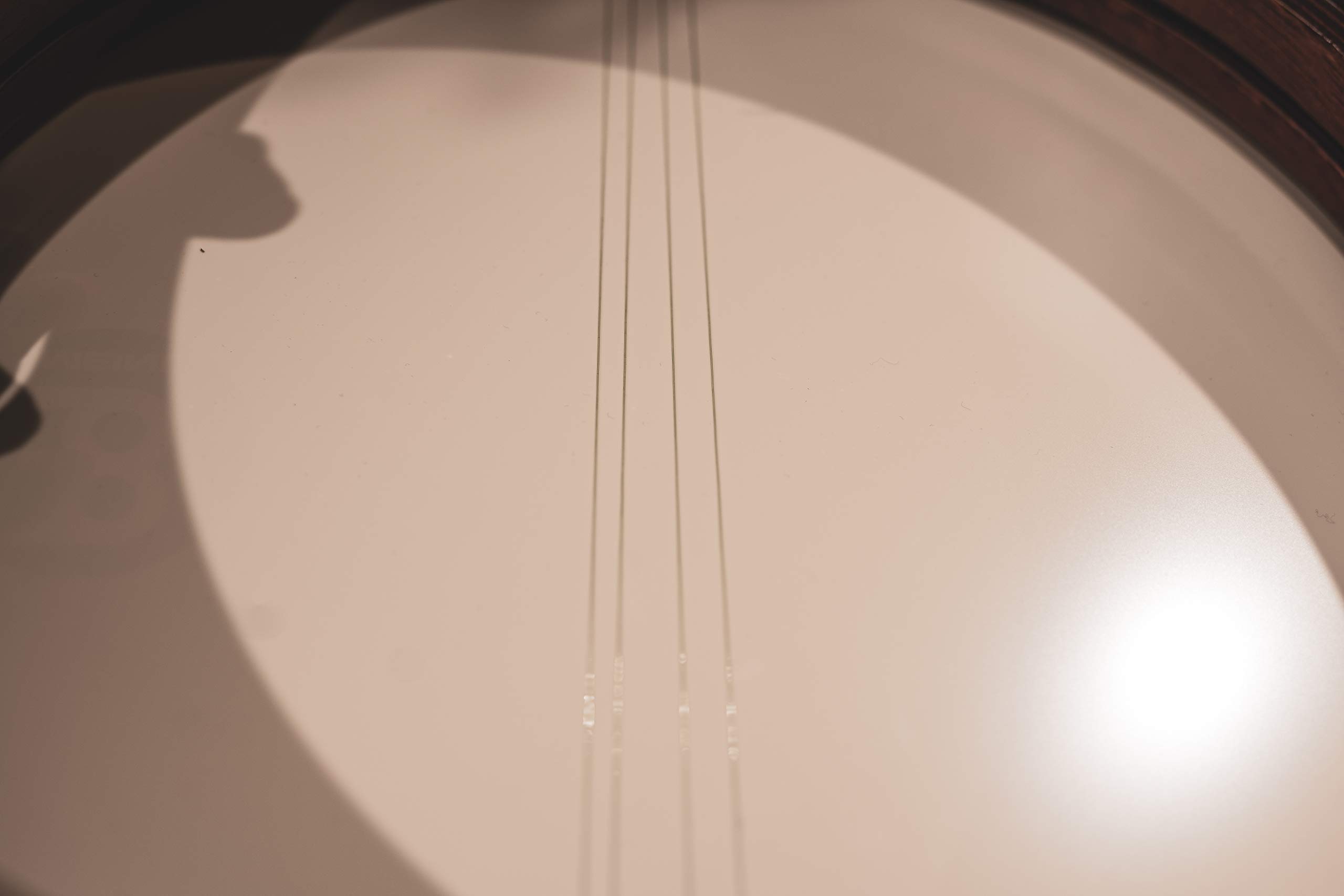 Meinl Frame Drums FD14BE-TF Bendir Rahmentrommel 35,56 cm