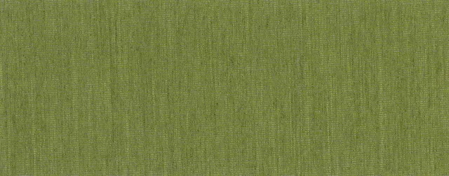 Sauleda Solar Pro Masacril Markisenstoff Green Cactus