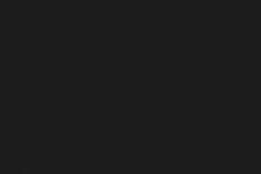 Sauleda Solar Pro Tech Class-FR Markisenstoff Schwarz