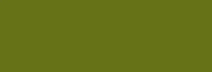 Sauleda Technical Lemans Markisenstoff Khaki Grün