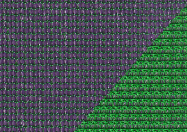 Sauleda Solar Pro Tech Dual Markisenstoff Royal Purple Green