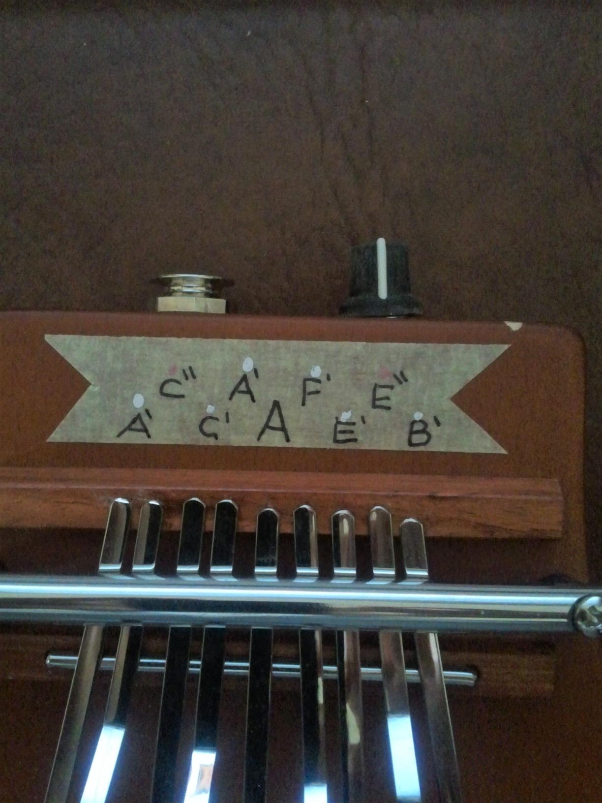 Meinl KA9P-AB Kalimba 9 Zungen Antique Brown Pickup