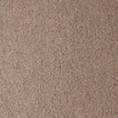 Sauleda Solar Pro Loop Nocciolo Markisenstoff Braun