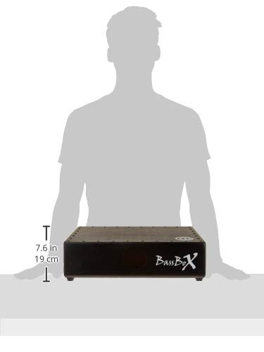 MEINL Pickup Instruments PBASSBOX Bassbox schwarz Tonabnehmer